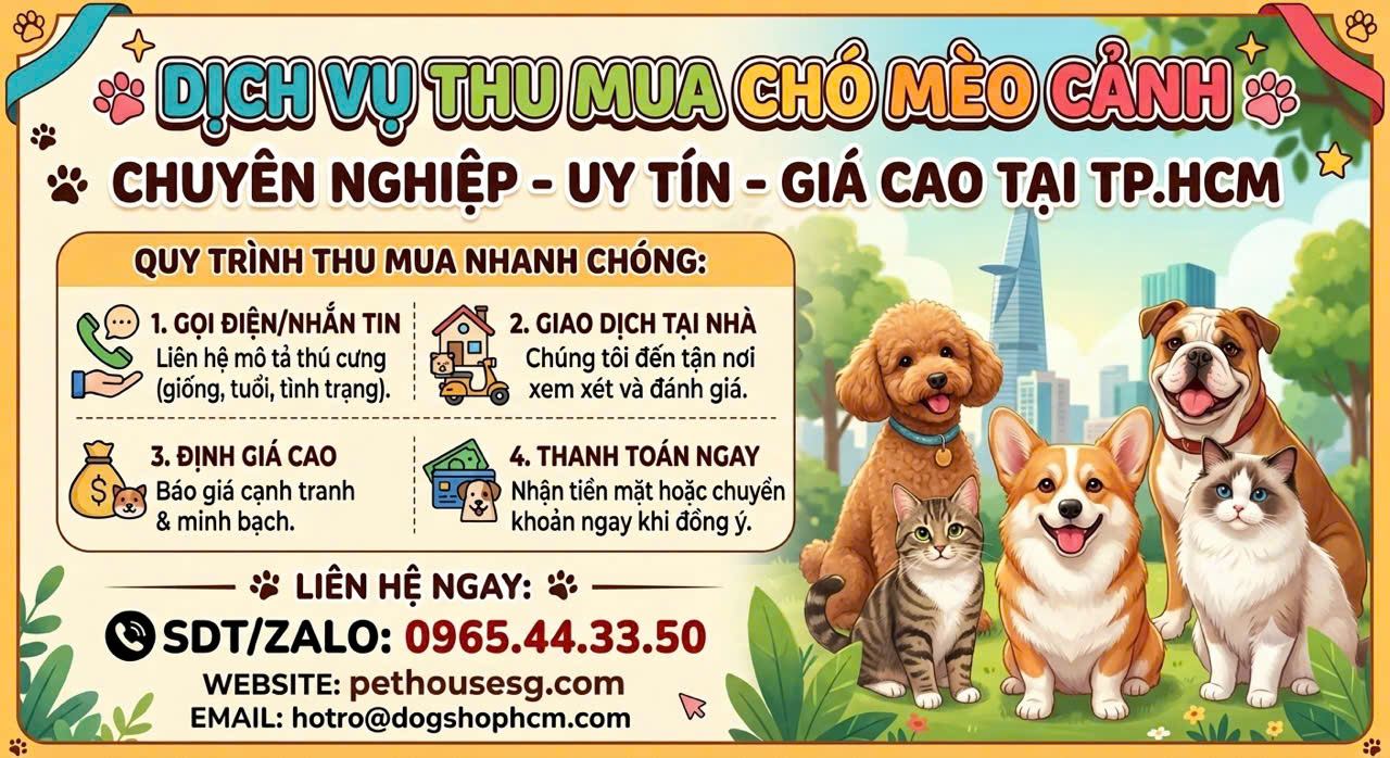 Thu mua chó mèo cảnh tại tphcm